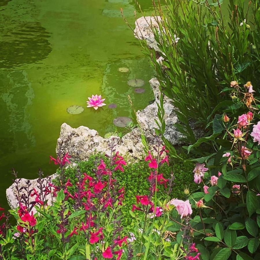 Demeure De Beaulieu Bed and Breakfast Le Coudray-Macouard Exteriör bild