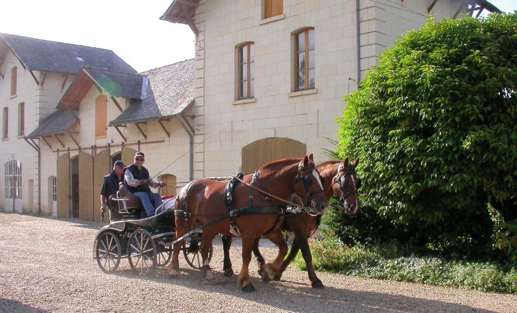 Demeure De Beaulieu Bed and Breakfast Le Coudray-Macouard Exteriör bild