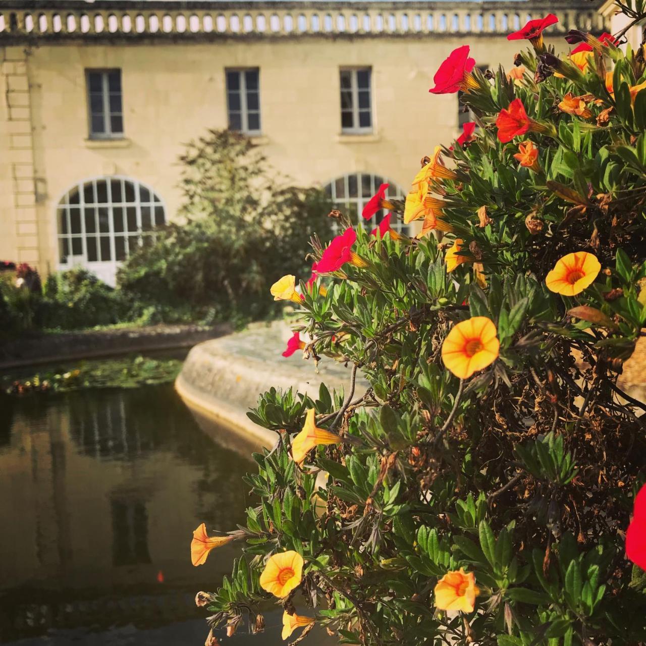 Demeure De Beaulieu Bed and Breakfast Le Coudray-Macouard Exteriör bild